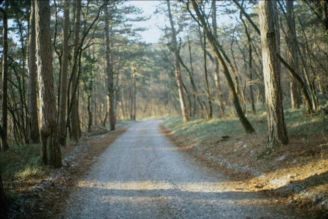 Caminho do Amor